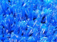 Critaux bleus
