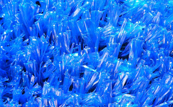 Critaux bleus