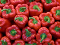 Poivrons rouges