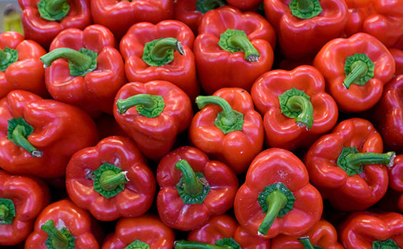 Poivrons rouges